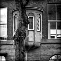 Stad in Stilte / Bankgebouw Schiedamse Vest